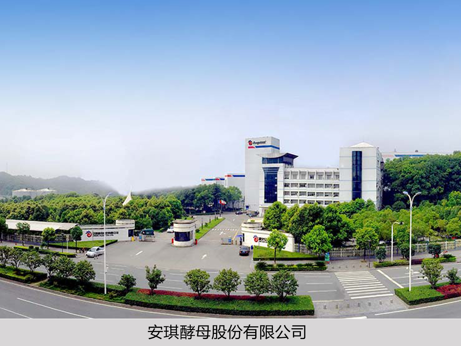 9999js金沙老品牌(中国)有限公司官网